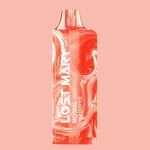 LOST MARY MO5000 FUJI DUO ICE味(jp-vape.com)