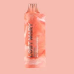 LOST MARY MO5000 WATERMELON CHERRY味(jp-vape.com)