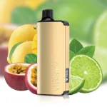 ALIBARBAR INGOT Passionfruit Mango Lime 9000 Puffs(jp-vape.com)