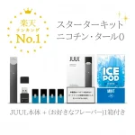 JUUL 本体 ＋ ICE POD ノンニコチンカートリッジ1箱付き(jp-vape.com)