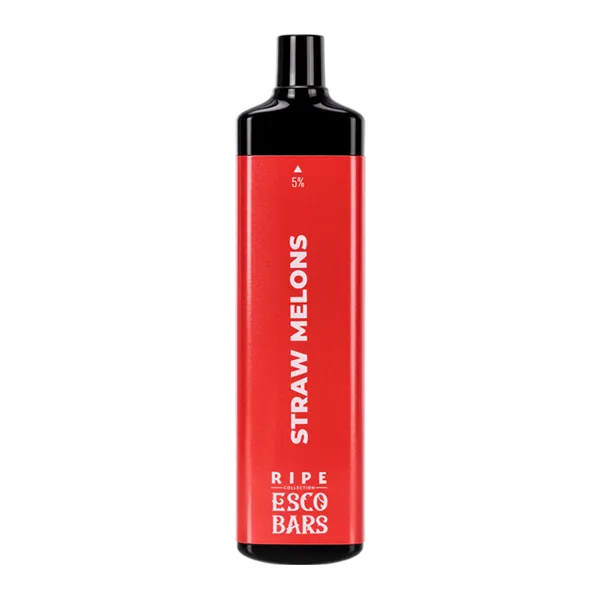 シーシャバー 開業で導入すべき最新電子シーシャデバイスの比較